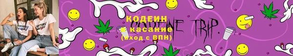 прущие грибы Верхний Тагил